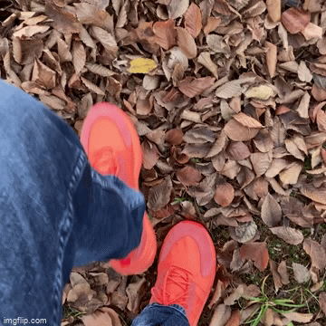 Orange Schuhe im Laub 360x360